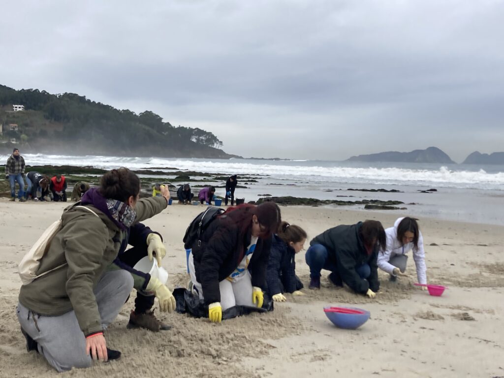 Limpieza de pellets en Patos Nigrán