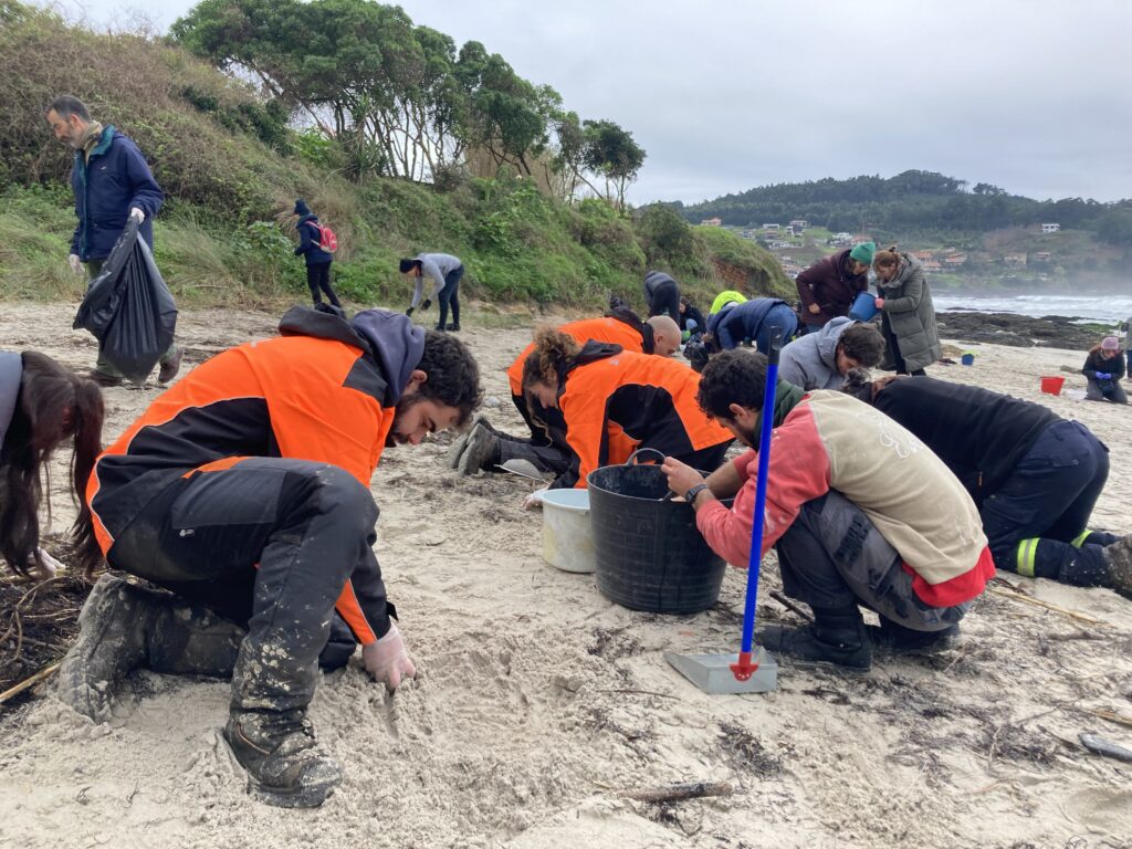 Limpieza de pellets en Patos Nigrán