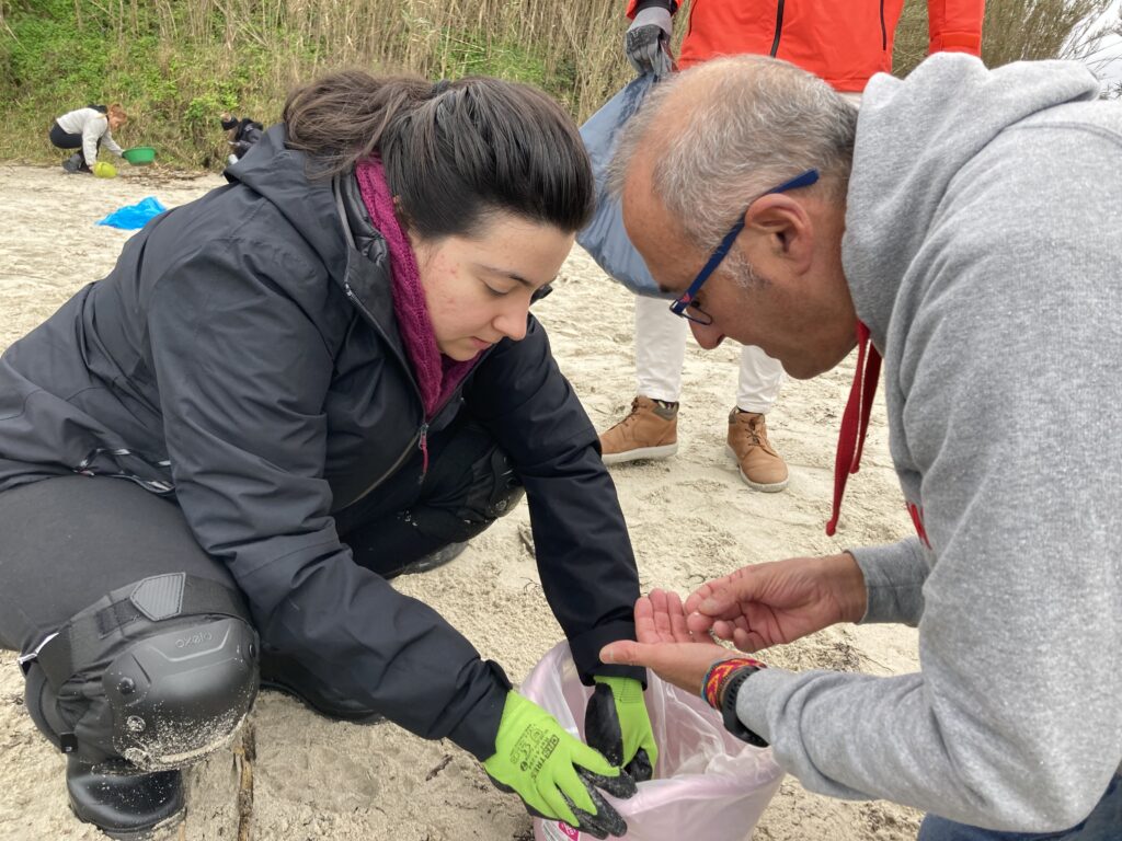 Limpieza de pellets en Patos Nigrán