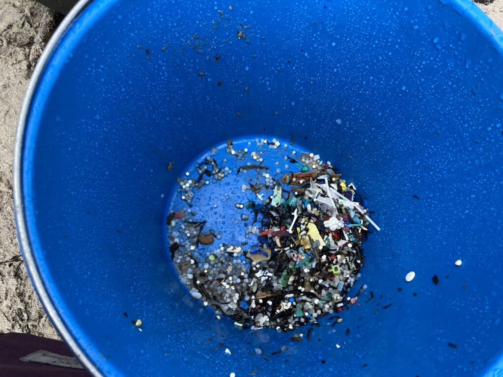 Limpieza de pellets en Patos Nigrán