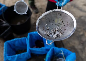 Informes de las universidades de A Coruña y Vigo: los pélets son «poco tóxicos» y «poco solubles»