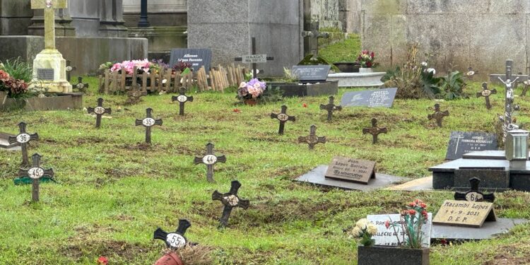 Recordando a los olvidados