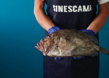 ¿Quieres pescado fresco de la ría? Pídelo por Instagram y en 24 horas lo tienes en tu mesa