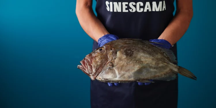 ¿Quieres pescado fresco de la ría? Pídelo por Instagram y en 24 horas lo tienes en tu mesa