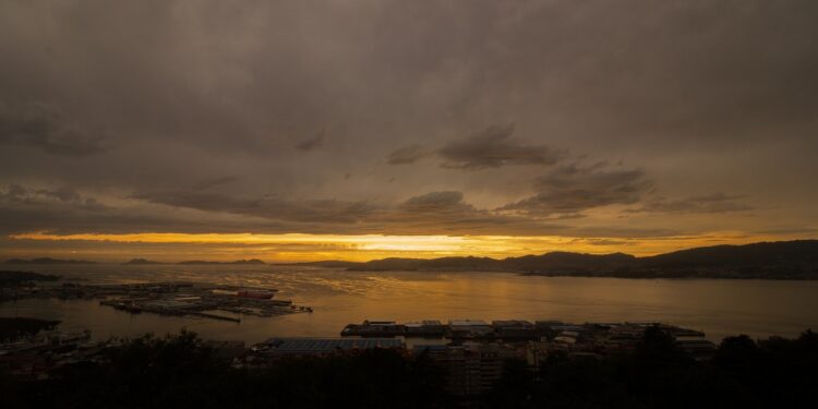 El osito que robó la memoria a los niños