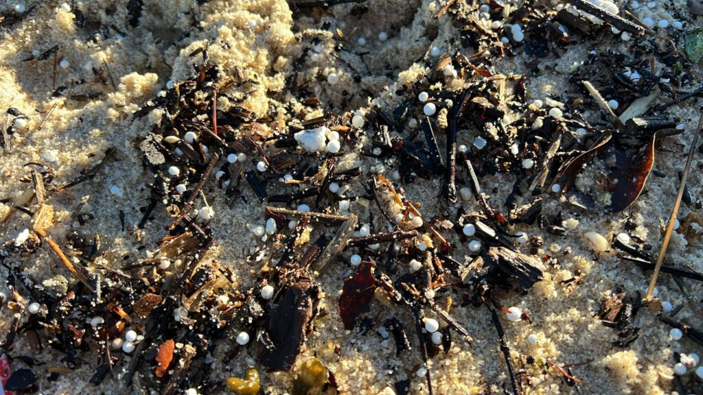 Restos de poliespán aparecidos este jueves en la playa de Samil, de apariencia similar a las de los pélets. 