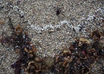 La Xunta prevé que una avalancha de pellets llegará este fin de semana a la costa gallega y eleva la alerta
