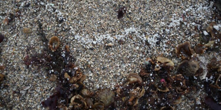 La Xunta prevé que una avalancha de pellets llegará este fin de semana a la costa gallega y eleva la alerta