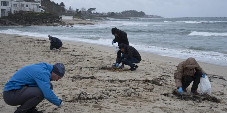 El PP vigués reclama a Caballero que escoja bando: en la campaña electoral o en la defensa de los vigueses y el mar