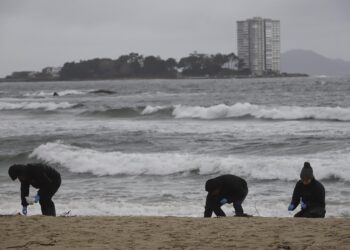 Las inspecciones por mar y aire no detectan sacos de pélets en las Rías Baixas
