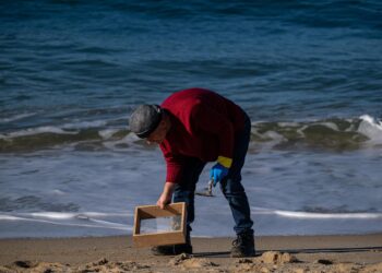 La Organización Marítima Internacional aprobará en febrero directrices sobre la limpieza de pélets