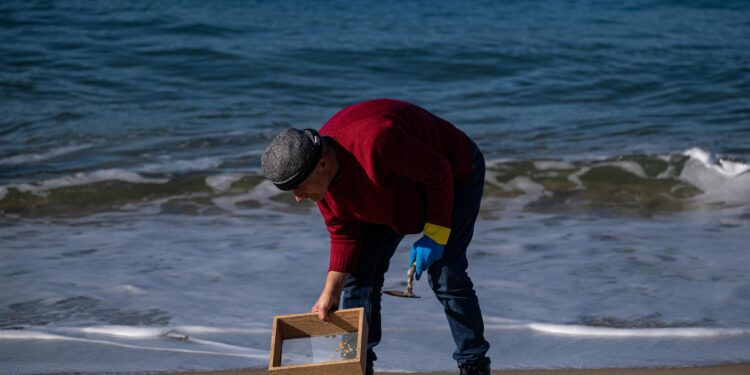 La Organización Marítima Internacional aprobará en febrero directrices sobre la limpieza de pélets