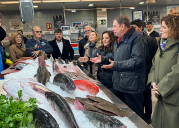 El PSOE asume que la gestión de los pélets no llega para desbancar al PP y espera un revulsivo en campaña