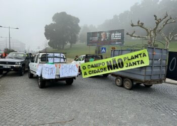 «Nos manifestamos unidos porque los agricultores portugueses tenemos los mismos problemas que los españoles»