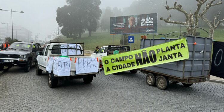 «Nos manifestamos unidos porque los agricultores portugueses tenemos los mismos problemas que los españoles»