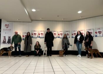 El centro comercial Travesía fomenta la adopción de animales por San Valentín