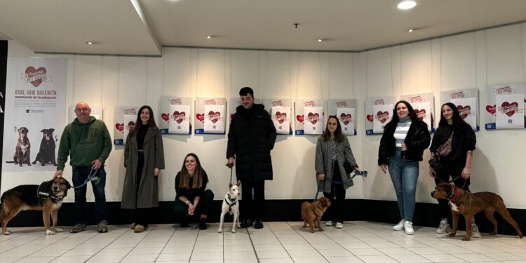 El centro comercial Travesía fomenta la adopción de animales por San Valentín