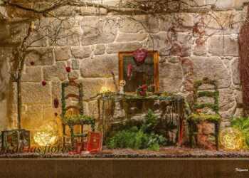 Gana con Vigoé y Origen un ramo de rosas para San Valentín