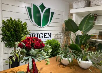 Gana con Vigoé y Origen un ramo de rosas para San Valentín