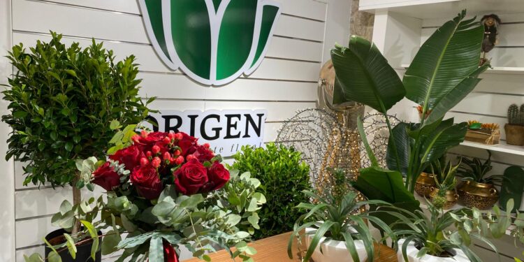 Gana con Vigoé y Origen un ramo de rosas para San Valentín