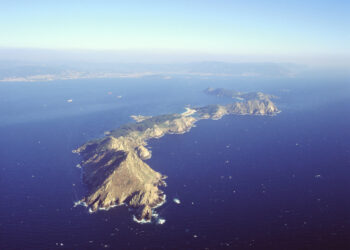 Las Illas Atlánticas atesoran 230 especies de líquenes diferentes
