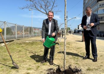 dia mundial del árbol abel caballero plantando en la vía verde
