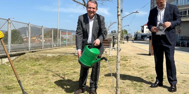 dia mundial del árbol abel caballero plantando en la vía verde