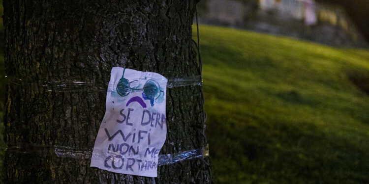 Activistas contra la tala de árboles colocan por la noche pancartas que «desaparecen» de día
