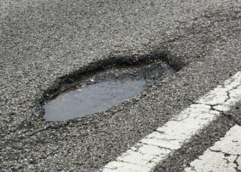 Cientos de «fochancas» colonizan la A-55: así está la lamentable y bochornosa autovía entre Vigo y Porriño