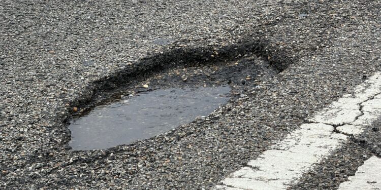 Cientos de «fochancas» colonizan la A-55: así está la lamentable y bochornosa autovía entre Vigo y Porriño