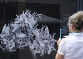 Una exposición en Príncipe desvela las formas secretas de la naturaleza