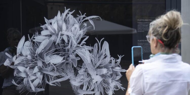 Una exposición en Príncipe desvela las formas secretas de la naturaleza