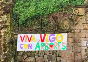 Ecologistas denuncian que en Vigo se talan más de 1.000 árboles al año