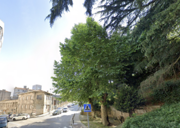 Los vecinos critican la tala de árboles en el centro y exigen protección para ejemplares de Falperra