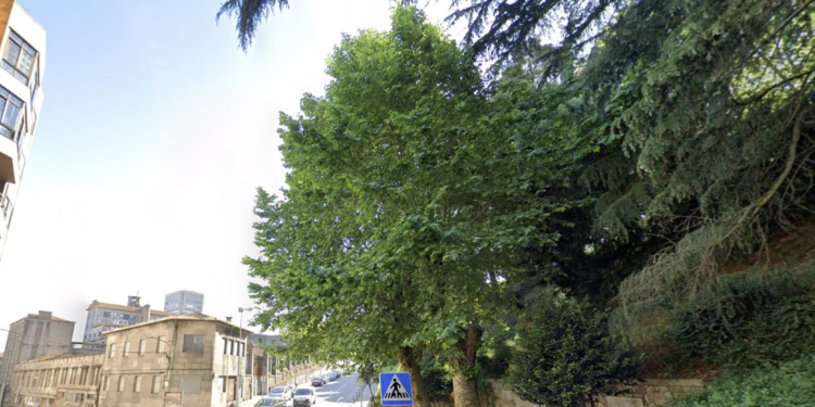 Los vecinos critican la tala de árboles en el centro y exigen protección para ejemplares de Falperra