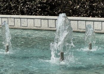 El cariño y profesionalidad de Vigo Memorial