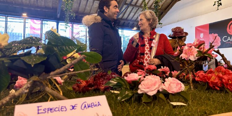 Luis López destaca el atractivo de la camelia para desestacionalizar el turismo en la provincia de Pontevedra