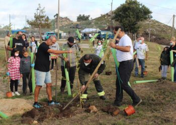 Xornada de reforestación e cultivo de shiitake no parque forestal de Camos e Chandebrito