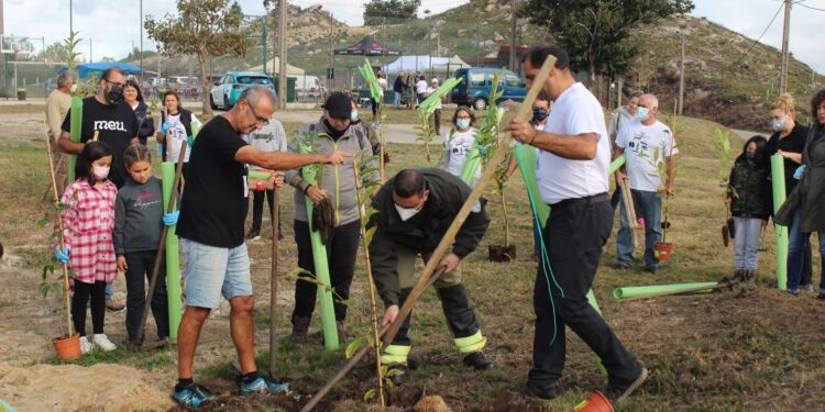Xornada de reforestación e cultivo de shiitake no parque forestal de Camos e Chandebrito