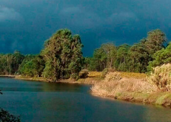 Agotadas en menos de media hora las plazas de la ruta ornitológica «Voando nas Rías Baixas»