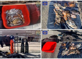 Los drones de la Policía Local ´cazan´ a otros dos furtivos más en Calzoa y Cabo Estai