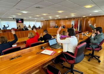 El pleno de Vigo insta a la Xunta a financiar vuelos desde Peinador