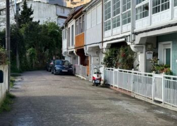 El delegado del Gobierno destaca la «rápida» actuación policial en el crimen de Coia