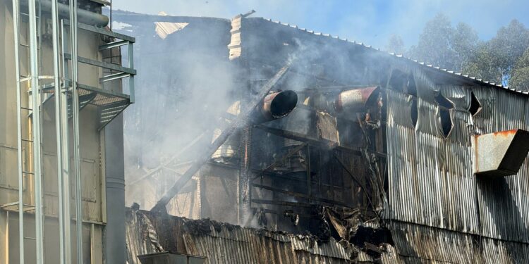 Arde una nave de una empresa de maderas en Vigo