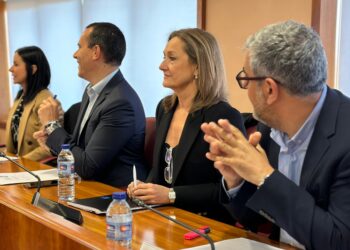 El PP de Vigo quiere un pleno extraordinario para exigir las “inversiones necesarias” para el AVE a Oporto