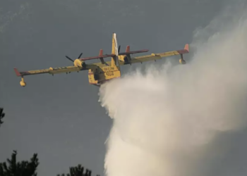 Calcinadas más de 50 hectáreas en un incendio provocado en Crecente