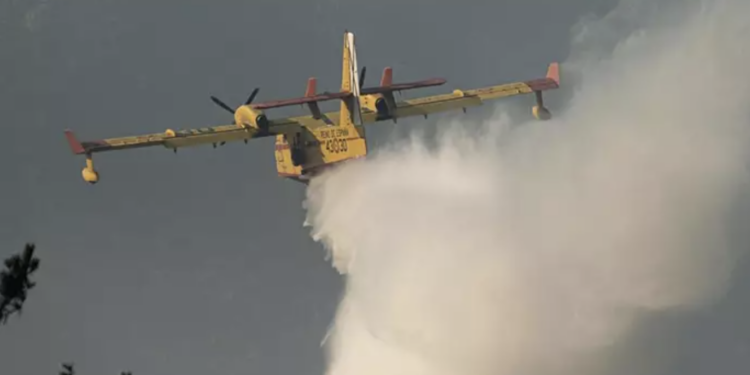 Calcinadas más de 50 hectáreas en un incendio provocado en Crecente