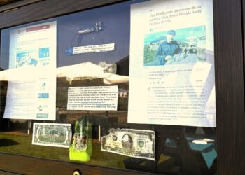 Los mensajes sorprendentes del mar