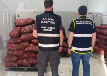 Confiscadas 12 toneladas de almejas en mal estado en Portugal