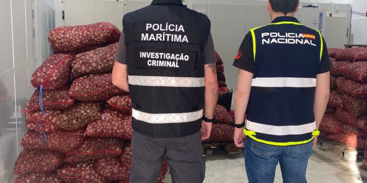 Confiscadas 12 toneladas de almejas en mal estado en Portugal